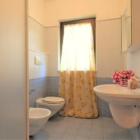 Ficus 2 شقة بينيتو