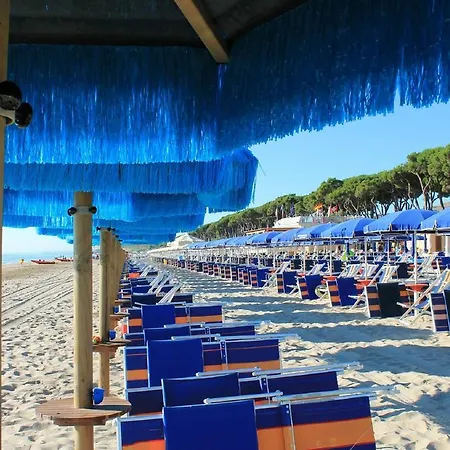 Ficus 2 Appartamento *