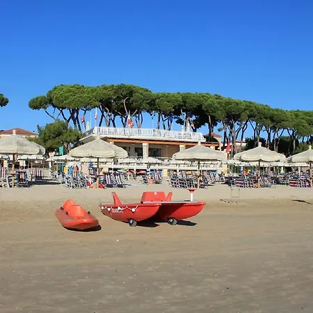 Ficus 2 * بينيتو